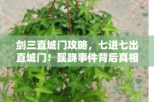 剑三直城门攻略,七进七出直城门!蹊跷事件背后真相,让人后背发凉 剑三直城门攻略,七进七出直城门!蹊跷事件背后真相,让人后背发凉