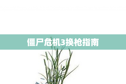 僵尸危机3换枪指南图片