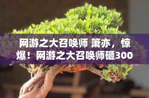 网游之大召唤师 箫亦，惊爆！网游之大召唤师砸3000万删玩法，背后隐情让人吓一跳！