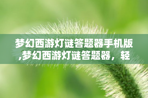 梦幻西游灯谜答题器手机版,梦幻西游灯谜答题器,轻松拿下节日活动满额福利的实用利器 梦幻西游灯谜答题器手机版,梦幻西游灯谜答题器,轻松拿下节日活动满额福利的实用利器