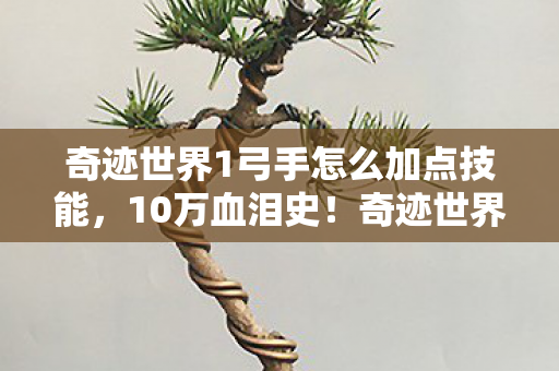 奇迹世界1弓手怎么加点技能,10万血泪史!奇迹世界2弓手加点暗藏氪金陷阱,我竟成最肥韭菜 奇迹世界1弓手怎么加点技能,10万血泪史!奇迹世界2弓手加点暗藏氪金陷阱,我竟成最肥韭菜