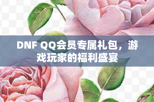 DNF QQ会员专属礼包图片