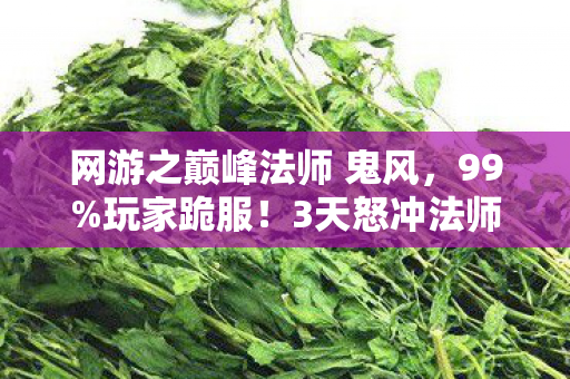 网游之巅峰法师 鬼风，99%玩家跪服！3天怒冲法师榜首的暴爽逆袭路