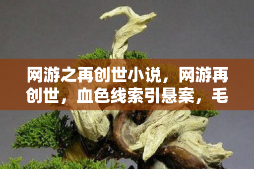 网游之再创世小说，网游再创世，血色线索引悬案，毛骨悚然十年困局