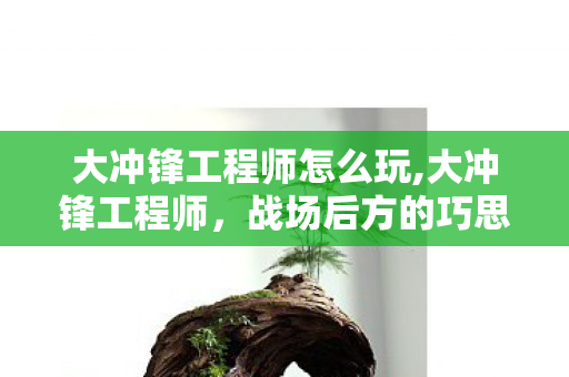 大冲锋工程师怎么玩,大冲锋工程师,战场后方的巧思守护者 大冲锋工程师怎么玩,大冲锋工程师,战场后方的巧思守护者