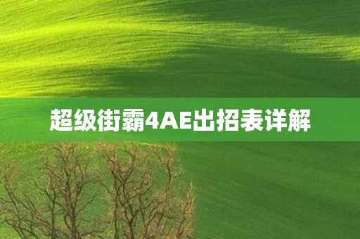 超级街霸4AE出招表详解图片
