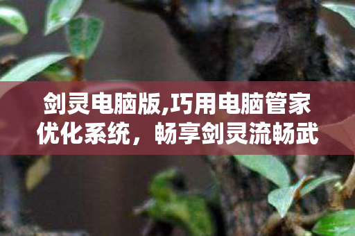 剑灵电脑版,巧用电脑管家优化系统，畅享剑灵流畅武侠游戏体验