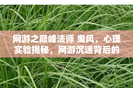 网游之巅峰法师 鬼风,心理实验揭秘,网游沉迷背后的多巴胺陷阱,细思极恐! 网游之巅峰法师 鬼风,心理实验揭秘,网游沉迷背后的多巴胺陷阱,细思极恐!