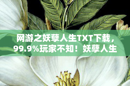 网游之妖孽人生TXT下载,99.9%玩家不知!妖孽人生隐藏数值竟能改写命运? 网游之妖孽人生TXT下载,99.9%玩家不知!妖孽人生隐藏数值竟能改写命运?