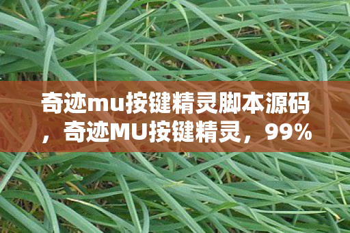 奇迹mu按键精灵脚本源码,奇迹MU按键精灵,99%玩家不知道的3大猫腻,氪金上头警告! 奇迹mu按键精灵脚本源码,奇迹MU按键精灵,99%玩家不知道的3大猫腻,氪金上头警告!