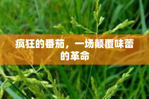 一场颠覆味蕾的革命图片