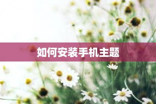 如何安装手机主题图片