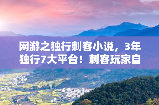 网游之独行刺客小说,3年独行7大平台!刺客玩家自述,我的刀刃为何总沾满孤独? 网游之独行刺客小说,3年独行7大平台!刺客玩家自述,我的刀刃为何总沾满孤独?