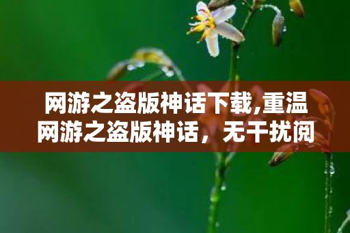 网游之盗版神话下载,重温网游之盗版神话，无干扰阅读的旧日情怀之旅