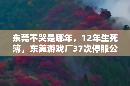 东莞不哭是哪年,12年生死簿,东莞游戏厂37次停服公告里藏着多少未亡人的泪目遗言 东莞不哭是哪年,12年生死簿,东莞游戏厂37次停服公告里藏着多少未亡人的泪目遗言