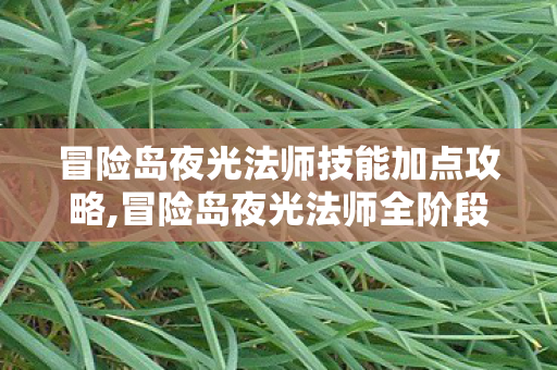 冒险岛夜光法师技能加点攻略,冒险岛夜光法师全阶段技能加点指南,光暗交织的法师成长攻略 冒险岛夜光法师技能加点攻略,冒险岛夜光法师全阶段技能加点指南,光暗交织的法师成长攻略