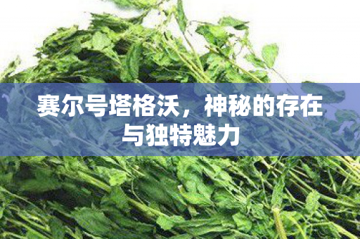 神秘的存在与独特魅力图片