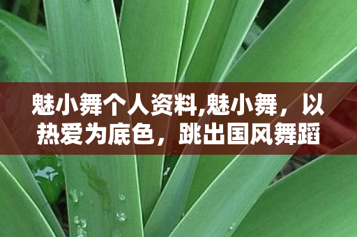 魅小舞个人资料,魅小舞,以热爱为底色,跳出国风舞蹈的鲜活模样 魅小舞个人资料,魅小舞,以热爱为底色,跳出国风舞蹈的鲜活模样