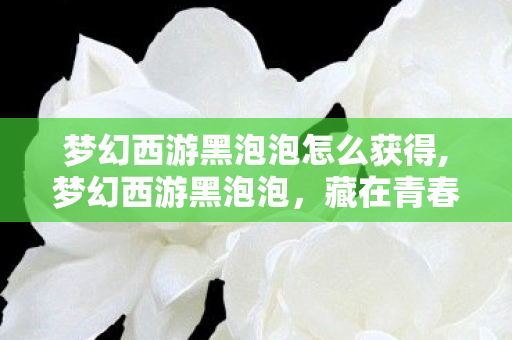 梦幻西游黑泡泡怎么获得,梦幻西游黑泡泡,藏在青春回忆里的稀有萌宠印记 梦幻西游黑泡泡怎么获得,梦幻西游黑泡泡,藏在青春回忆里的稀有萌宠印记