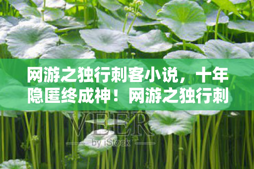 网游之独行刺客小说,十年隐匿终成神!网游之独行刺客2035年揭秘,代价竟是…… 网游之独行刺客小说,十年隐匿终成神!网游之独行刺客2035年揭秘,代价竟是……