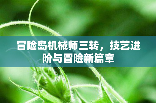 技艺进阶与冒险新篇章图片