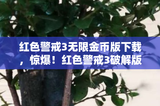 红色警戒3无限金币版下载,惊爆!红色警戒3破解版竟卖888元?背后隐情让人吓一跳! 红色警戒3无限金币版下载,惊爆!红色警戒3破解版竟卖888元?背后隐情让人吓一跳!