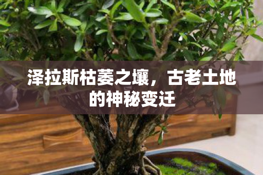 古老土地的神秘变迁图片