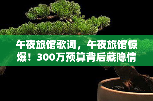 午夜旅馆歌词，午夜旅馆惊爆！300万预算背后藏隐情，结果让人吓一跳！