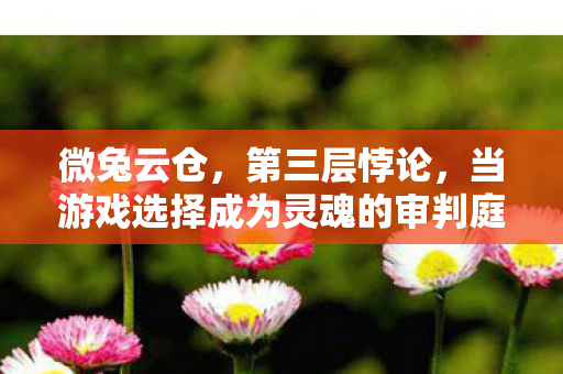 微兔云仓，第三层悖论，当游戏选择成为灵魂的审判庭，2027年谁在按下确定键？
