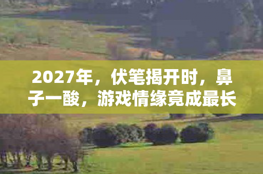 2027年，伏笔揭开时，鼻子一酸，游戏情缘竟成最长陪伴