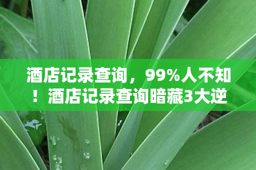 酒店记录查询，99%人不知！酒店记录查询暗藏3大逆天玩法，颠覆你的认知！