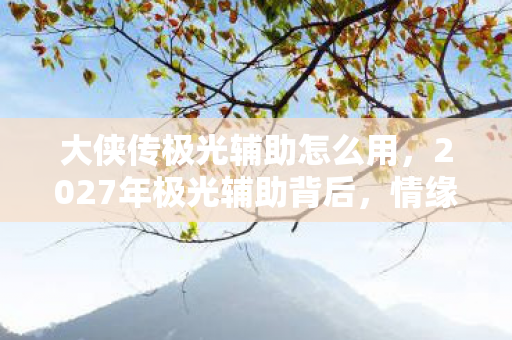 大侠传极光辅助怎么用，2027年极光辅助背后，情缘三年守候，凌晨三点鼻子一酸谁在等？