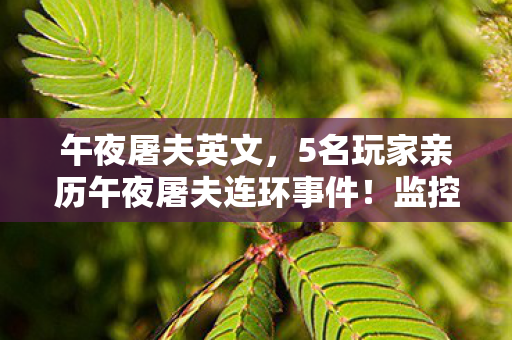 午夜屠夫英文,5名玩家亲历午夜屠夫连环事件!监控死角疑云,网吧大神,我键盘都吓掉了 午夜屠夫英文,5名玩家亲历午夜屠夫连环事件!监控死角疑云,网吧大神,我键盘都吓掉了
