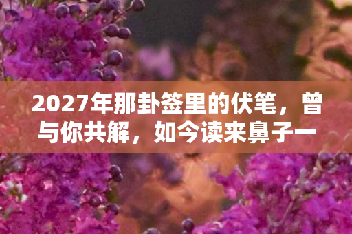 2027年那卦签里的伏笔,曾与你共解,如今读来鼻子一酸 2027年那卦签里的伏笔,曾与你共解,如今读来鼻子一酸