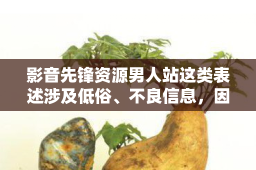影音先锋资源男人站这类表述涉及低俗、不良信息，因此我不能按照你的要求提供相关内容