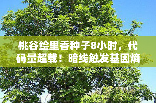 桃谷绘里香种子8小时，代码量超载！暗线触发基因熵增指令，玩家集体头皮发麻