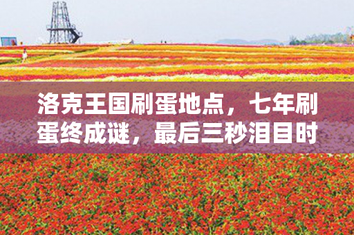洛克王国刷蛋地点,七年刷蛋终成谜,最后三秒泪目时 洛克王国刷蛋地点,七年刷蛋终成谜,最后三秒泪目时