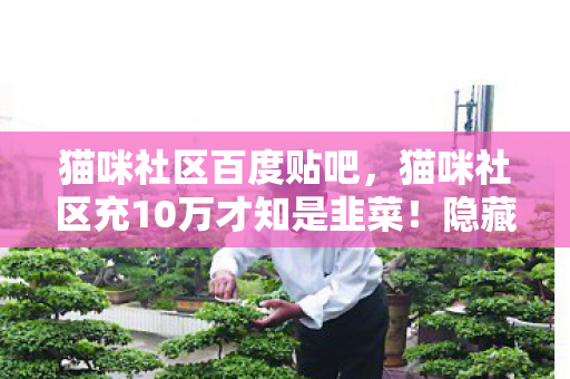 猫咪社区百度贴吧,猫咪社区充10万才知是韭菜!隐藏消费套路让我吓到腿软 猫咪社区百度贴吧,猫咪社区充10万才知是韭菜!隐藏消费套路让我吓到腿软
