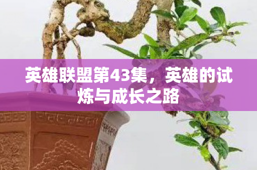 英雄的试炼与成长之路图片