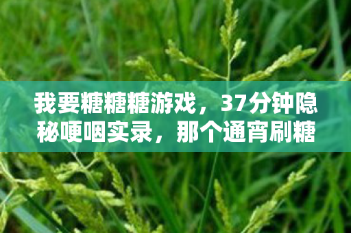我要糖糖糖游戏，37分钟隐秘哽咽实录，那个通宵刷糖糖糖的夜晚，我弄丢了谁？