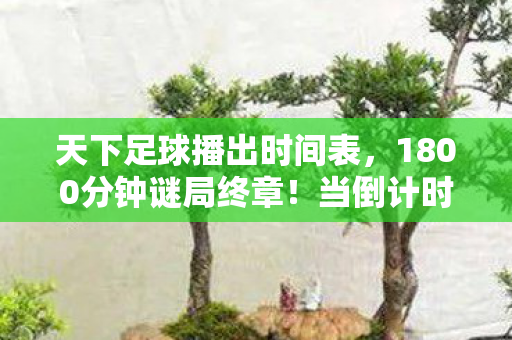 天下足球播出时间表,1800分钟谜局终章!当倒计时归零时,谁在屏幕那端泪目? 天下足球播出时间表,1800分钟谜局终章!当倒计时归零时,谁在屏幕那端泪目?