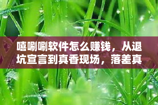 嘻唰唰软件怎么赚钱,从退坑宣言到真香现场,落差真相,笑着笑着就哭了 嘻唰唰软件怎么赚钱,从退坑宣言到真香现场,落差真相,笑着笑着就哭了