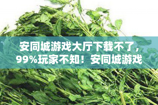 安同城游戏大厅下载不了,99%玩家不知!安同城游戏大厅下载后竟开启这等狂欢盛宴? 安同城游戏大厅下载不了,99%玩家不知!安同城游戏大厅下载后竟开启这等狂欢盛宴?