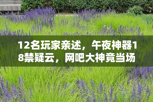 12名玩家亲述，午夜神器18禁疑云，网吧大神竟当场笑到拍桌！