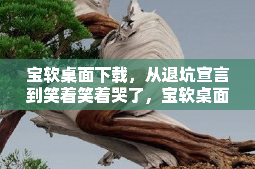 宝软桌面下载，从退坑宣言到笑着笑着哭了，宝软桌面下的落差真相
