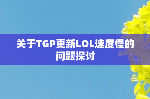 关于TGP更新LOL速度慢的问题探讨图片