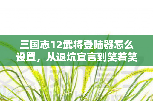 三国志12武将登陆器怎么设置，从退坑宣言到笑着笑着哭了，落差背后，真相竟是这般扎心