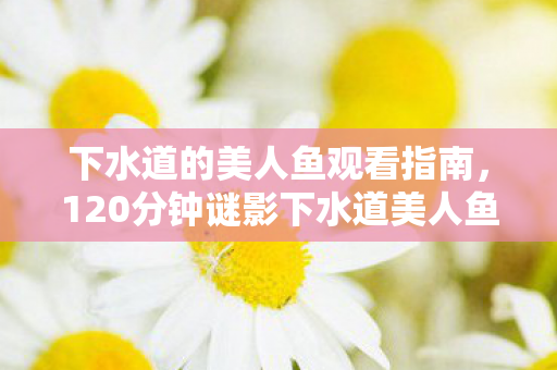下水道的美人鱼观看指南,120分钟谜影下水道美人鱼终章,泪目竟在黑屏后 下水道的美人鱼观看指南,120分钟谜影下水道美人鱼终章,泪目竟在黑屏后