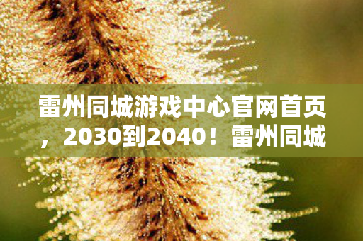 雷州同城游戏中心官网首页,2030到2040!雷州同城游戏中心十年变迁,藏着怎样震撼秘密? 雷州同城游戏中心官网首页,2030到2040!雷州同城游戏中心十年变迁,藏着怎样震撼秘密?