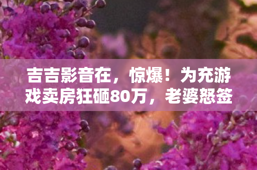 吉吉影音在,惊爆!为充游戏卖房狂砸80万,老婆怒签离婚协议,背后隐情吓一跳! 吉吉影音在,惊爆!为充游戏卖房狂砸80万,老婆怒签离婚协议,背后隐情吓一跳!